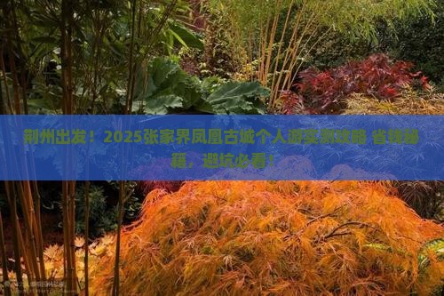 荆州到张家界凤凰古城个人游