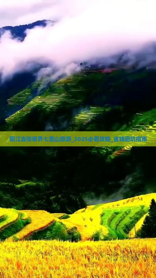 阳江去张家界七星山旅游