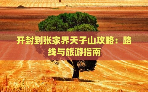 开封到张家界天子山攻略