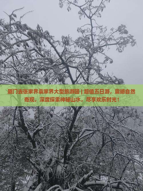 厦门去张家界袁家界大型旅游团