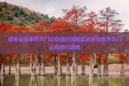 韶关去张家界天门山自由行