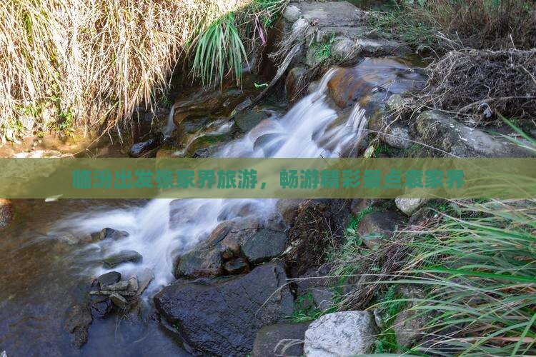 临汾去张家界袁家界大型旅游团