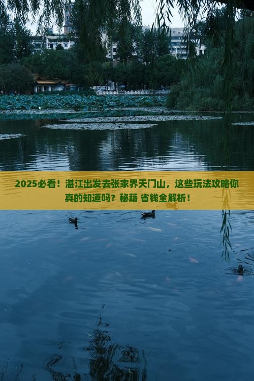 湛江去张家界天门山哪里玩