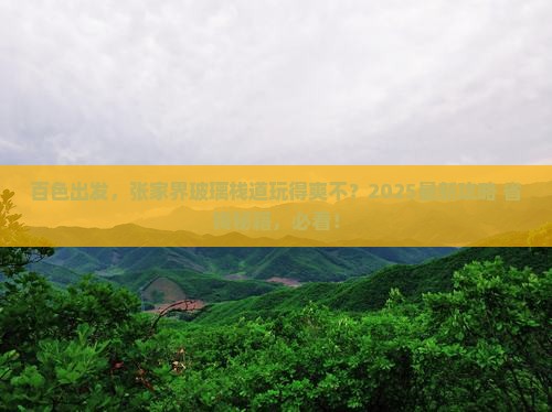 百色到张家界玻璃栈道旅行社