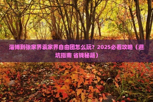 淄博到张家界袁家界自由团