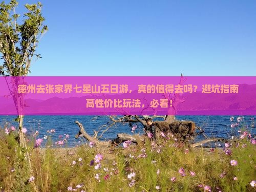 德州去张家界七星山五日游