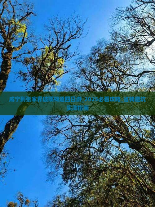 咸宁到张家界玻璃栈道四日游