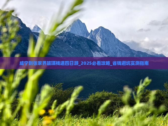 咸宁到张家界玻璃栈道四日游
