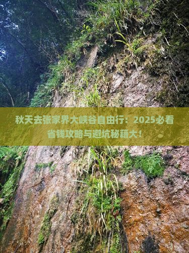 秋天去张家界大峡谷自由行