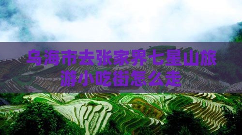 乌海市去张家界七星山旅游小吃