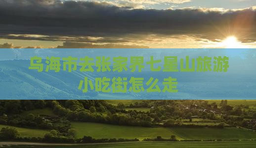 乌海市去张家界七星山旅游小吃