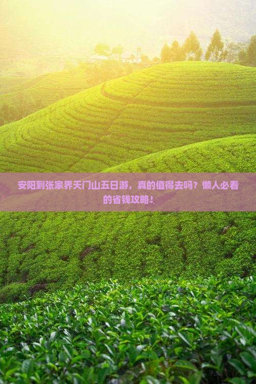 安阳到张家界天门山五日游