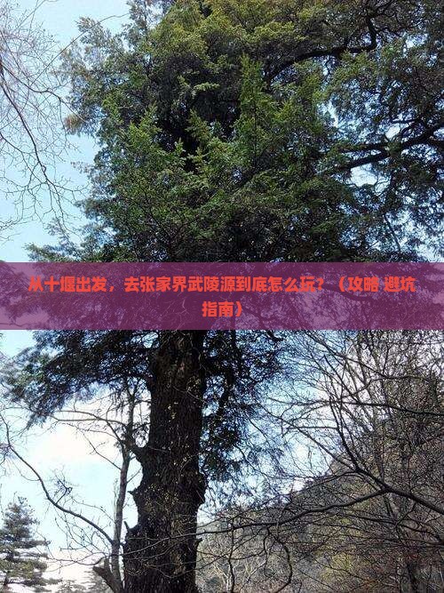 十堰去张家界武陵源景点