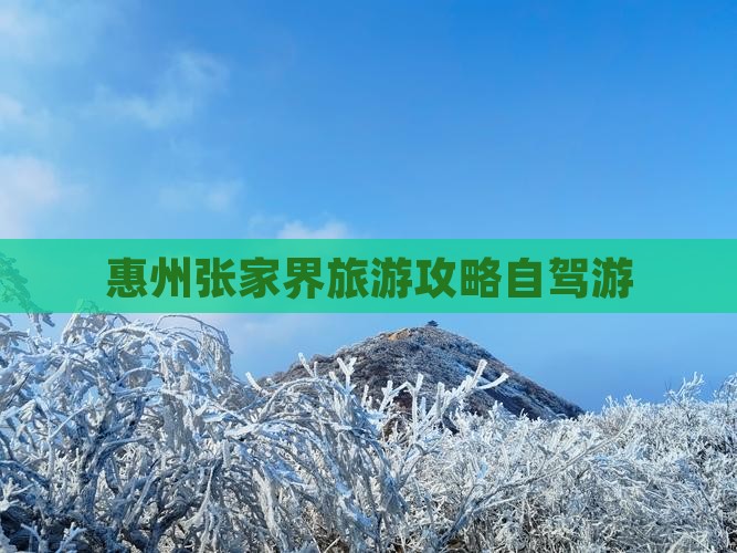 惠州去张家界森林公园旅游